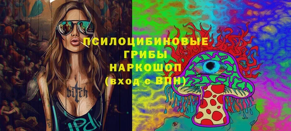 соль ск Новодвинск
