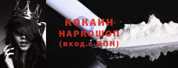 стафф Осташков