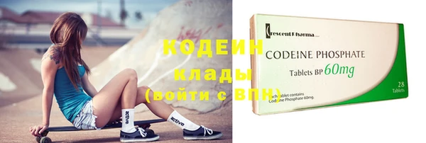 гашик Новозыбков
