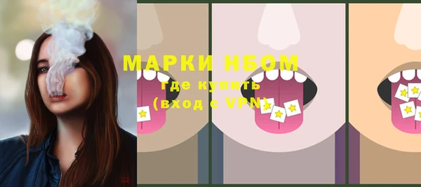 гидра Медвежьегорск