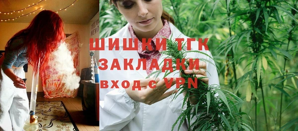 гидра Медвежьегорск