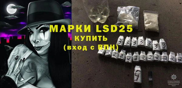 стафф Осташков