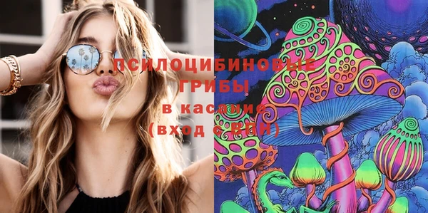 шишки Нягань
