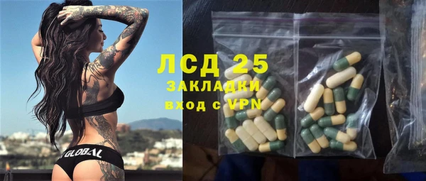 стафф Осташков