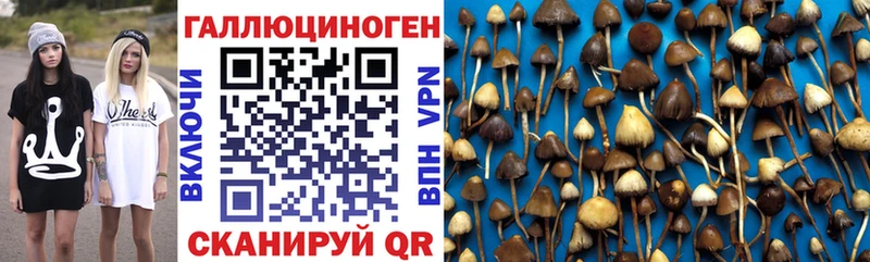 где найти   Нариманов  Галлюциногенные грибы мицелий 